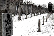 Auschwitz-Birkenau custom tours